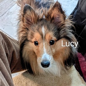 Fundraising Page: Lucy Parker